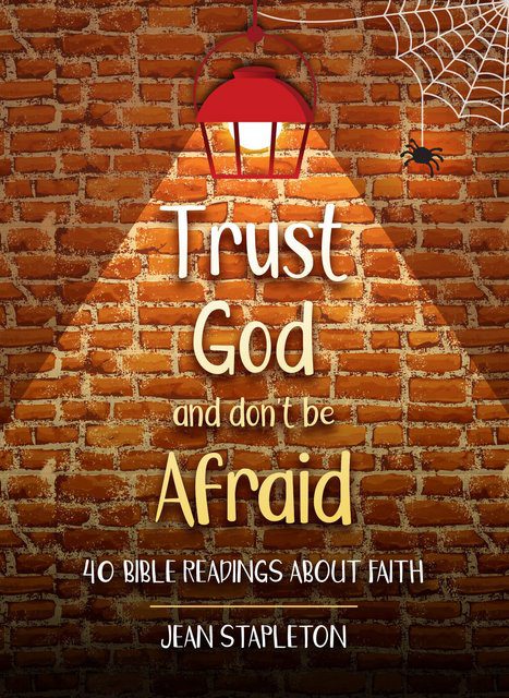 Book cover showing a brick wall with a lamp and the title Trust God
