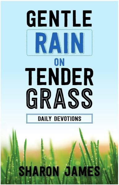 Gentle Rain on Tender Grass